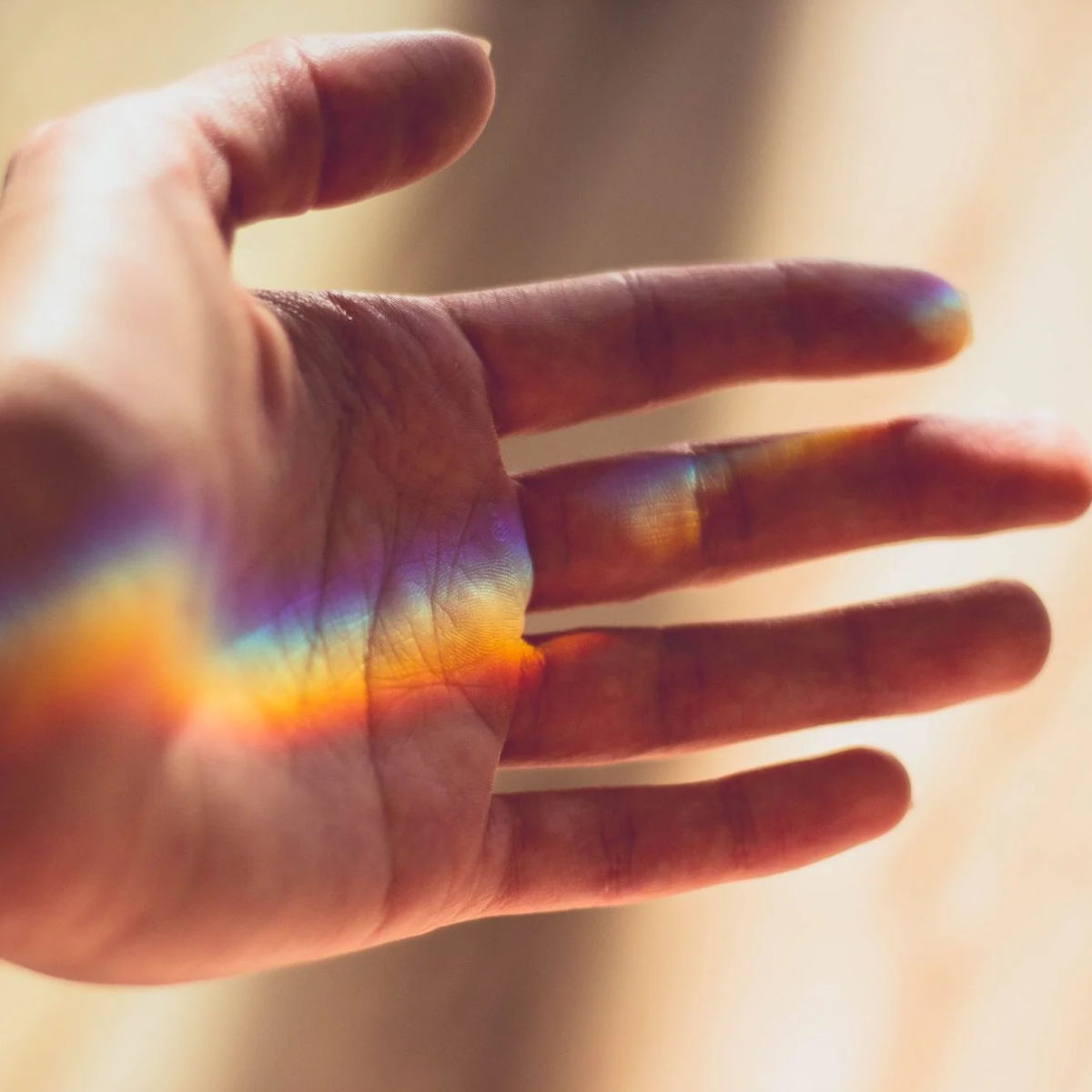 placeholder image-sq